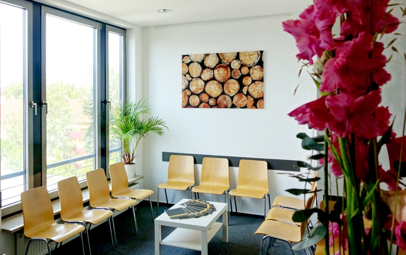 Wartebereich mit großen Fenstern. An der Wand hängt ein Bild von Holz, davor stehen mehrere Stühle und ein kleiner Tisch in der Mitte. Rechts im Vordergrund sind unscharf große Blumen.