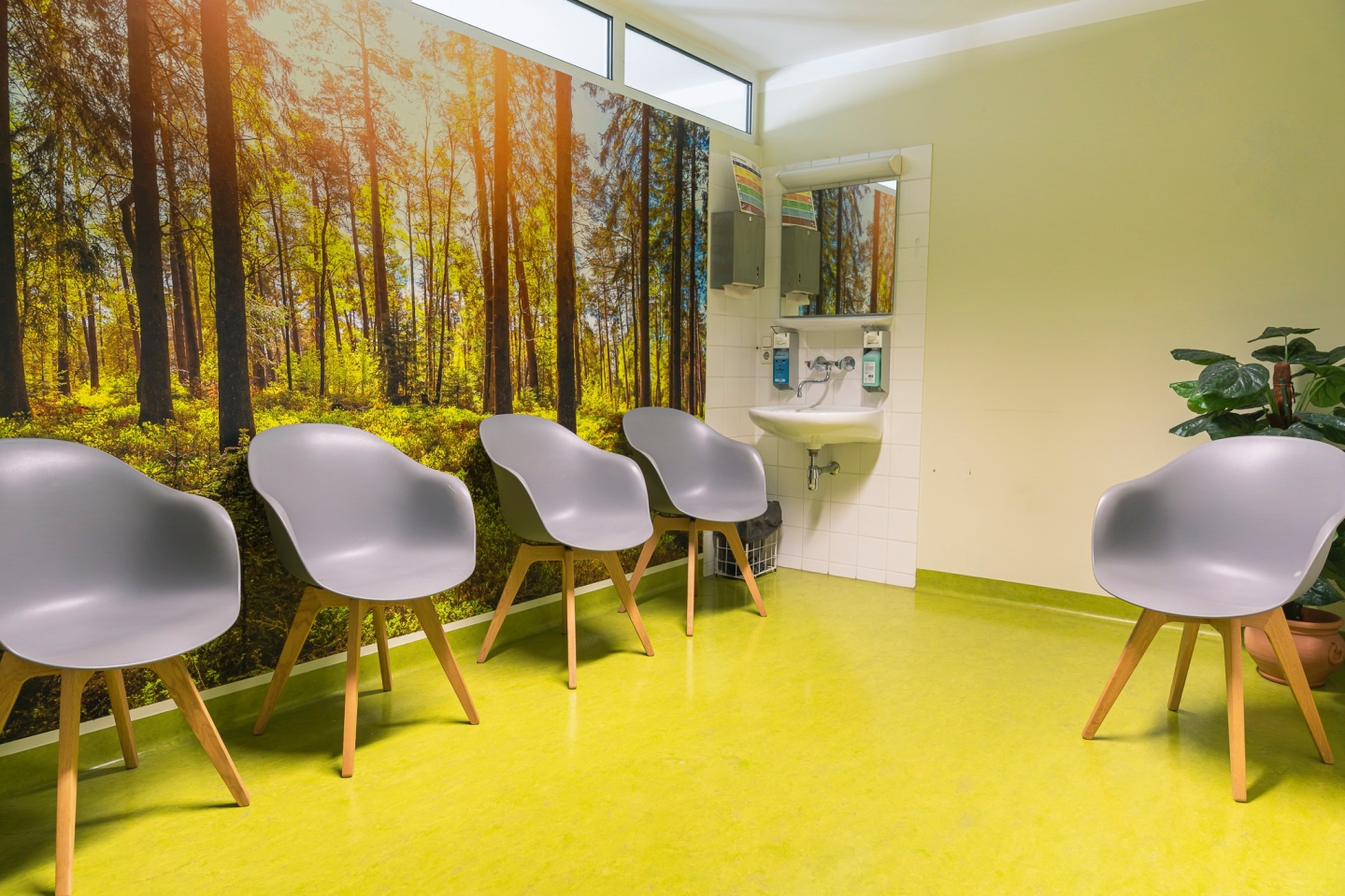 Ein Wartezimmer mit hellgrünem Linoleumboden und grauen Schalenstühlen mit Holzbeinen. Die linke Wand ist großflächig mit einer Fototapete gestaltet, die einen sonnendurchfluteten Wald zeigt. Im Hintergrund befindet sich ein weiß gefliestes Waschbecken mit Spiegel und Seifenspendern, rechts steht eine große Zimmerpflanze.