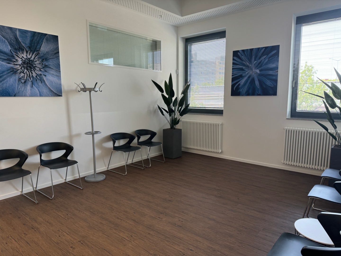 Wartezimmer mit Holzboden. An den weißen Wänden hängen zwei großformatige, blaue Bilder.