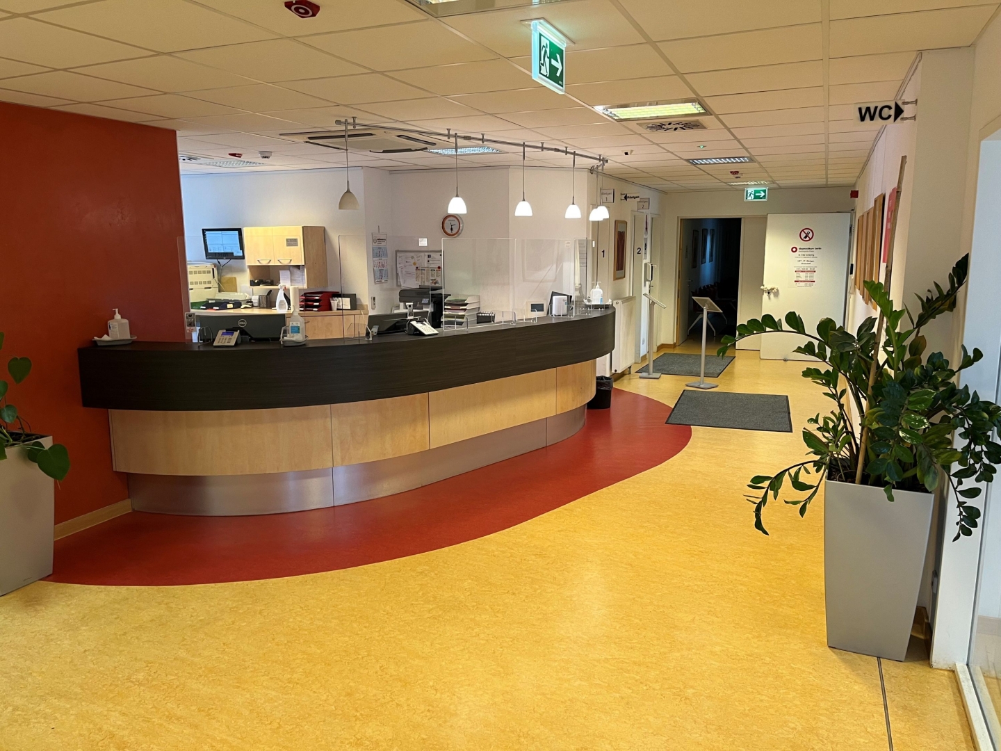 Empfangsbereich mit geschwungenem Tresen. Rote Farbakzente im Raum sowie einige Pflanzen und viel Licht.